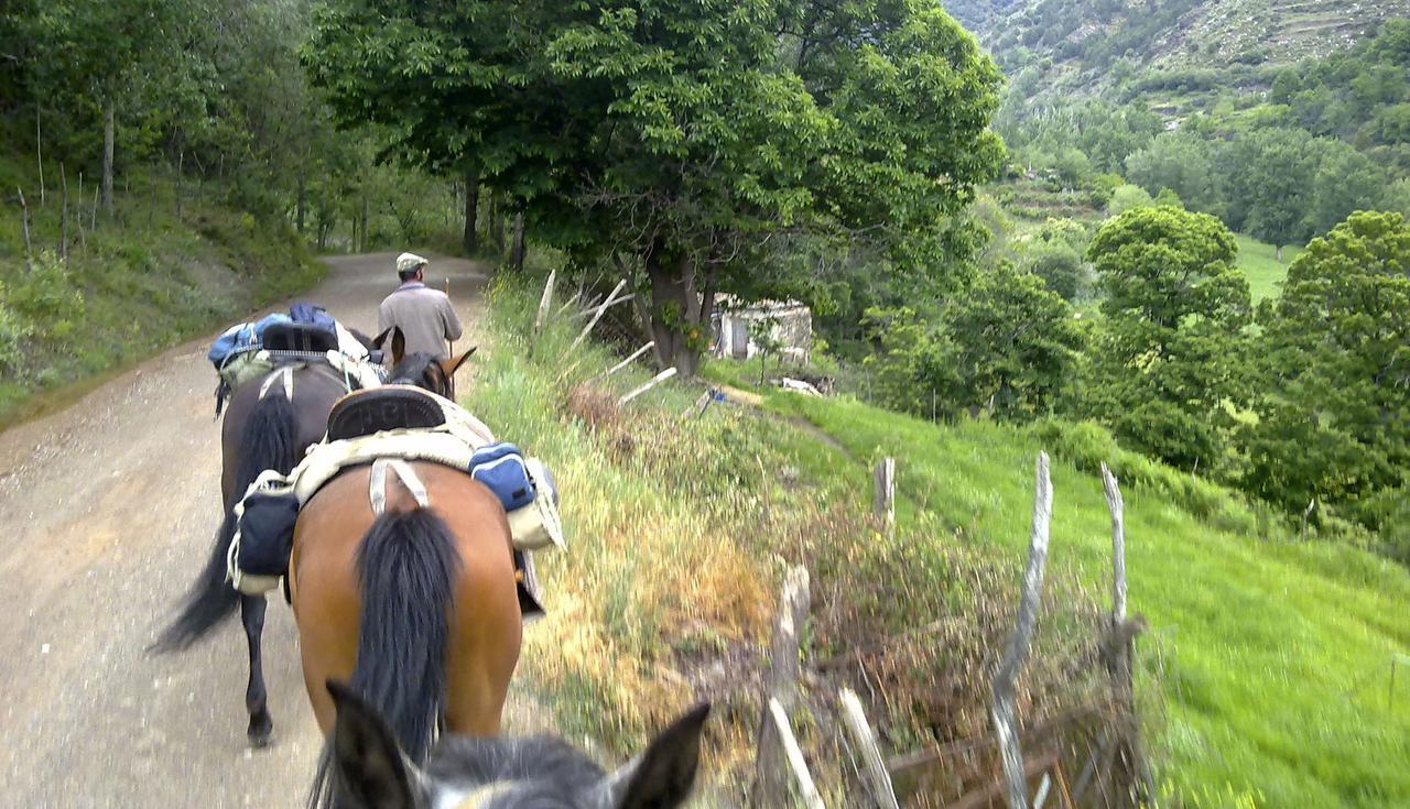 Refugio Alpujarra Alta Bed and Breakfast Trevélez Εξωτερικό φωτογραφία